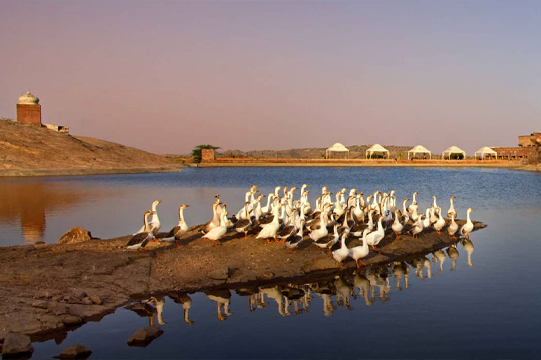 Kailana-Lake-jodhpur